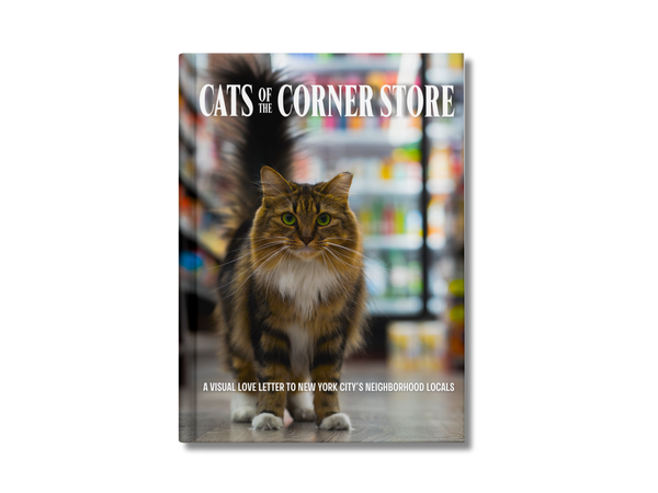 Cats of the Corner Store