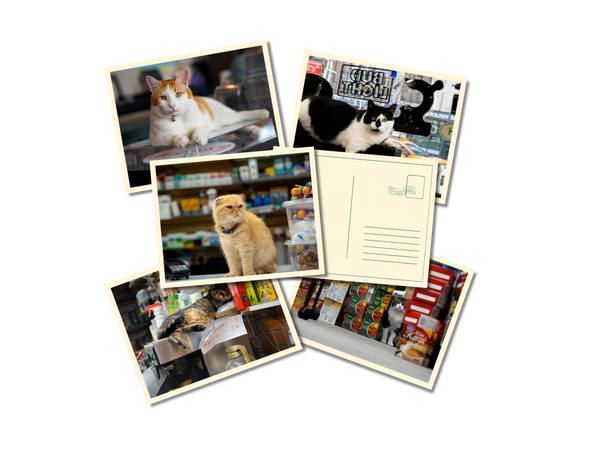 Collectible Postcard Bundle