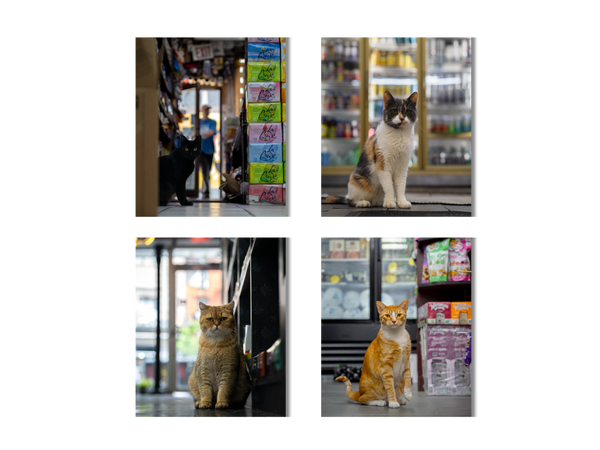 Photo Print Bundle