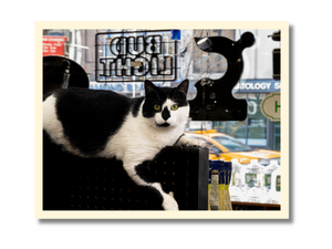 Collectible Postcard