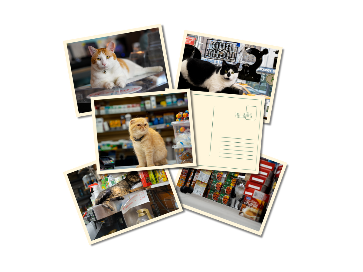 Collectible Postcard Bundle