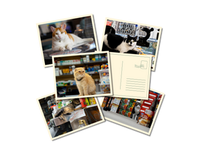Collectible Postcard Bundle
